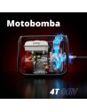 Synergy Motobomba Gasolina 4T OHV 50mm 36.000L/h 6,5cv - Synergy | Motobomba